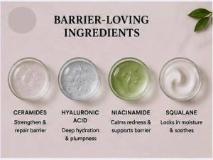 Skin barrier repair ingredients include ceramides, hyaluronic acid, niacinamide, and soothing moisturizers.