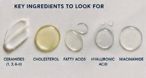 Applying a ceramide moisturizer correctly to support skin barrier repair and long-lasting hydration