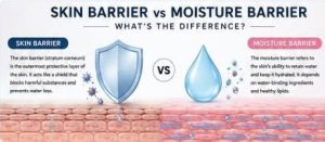 Skin Barrier vs Moisture Barrier infographic comparing skin protection and hydration with a scientific skin cross-section illustration.