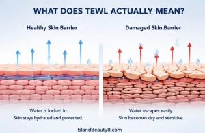 Healthy vs damaged skin barrier illustrating Transepidermal Water Loss (TEWL) and increased moisture evaporation through the epidermis.