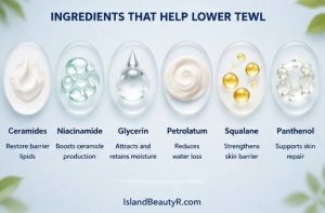 Barrier-repair ingredients that help reduce Transepidermal Water Loss (TEWL), including ceramides, niacinamide, glycerin, petrolatum, squalane, and panthenol.