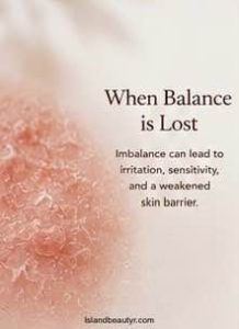 A healthy skin barrier prevents moisture loss and environmental damage
