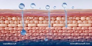 Skin barrier repairing over time with ceramides and improved hydration