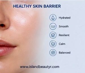 Daily skincare routine using Hyaluronic Acid for Skin Barrier Repair and ceramide moisturizer