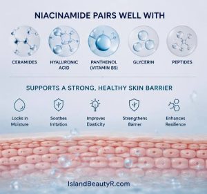 Best ingredients to combine with Niacinamide for Skin Barrier Repair including ceramides, hyaluronic acid, panthenol, glycerin, and peptides