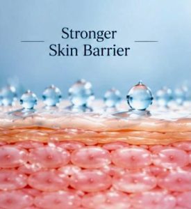 close-up of skin barrier layers with protective lipids and moisture